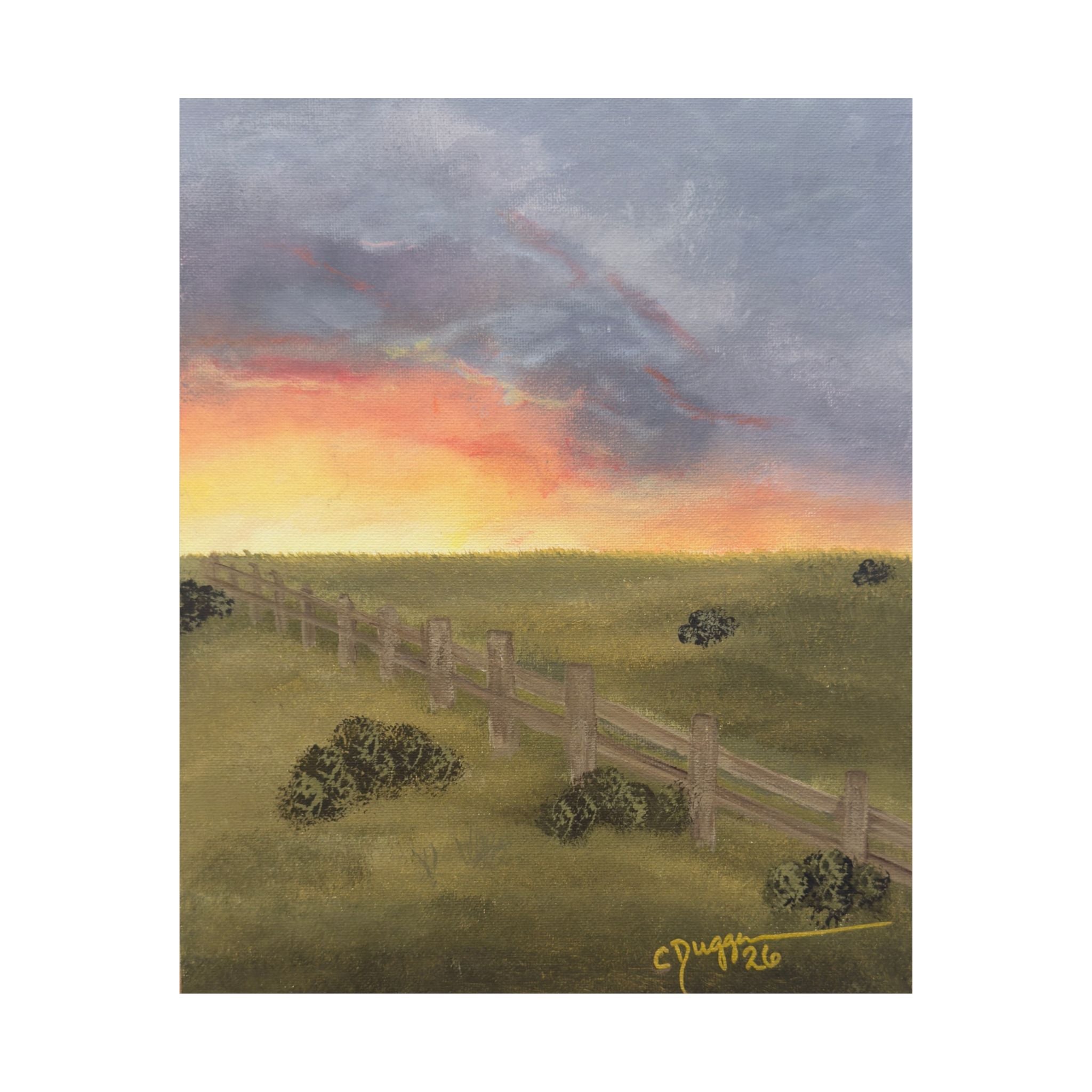 Summer Storm by Christine Duggan