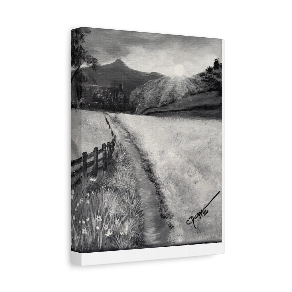 The Way Home