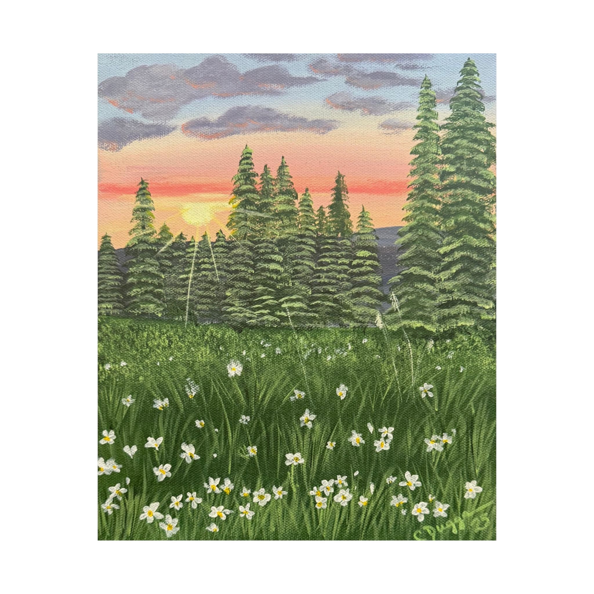Meadow at First Light