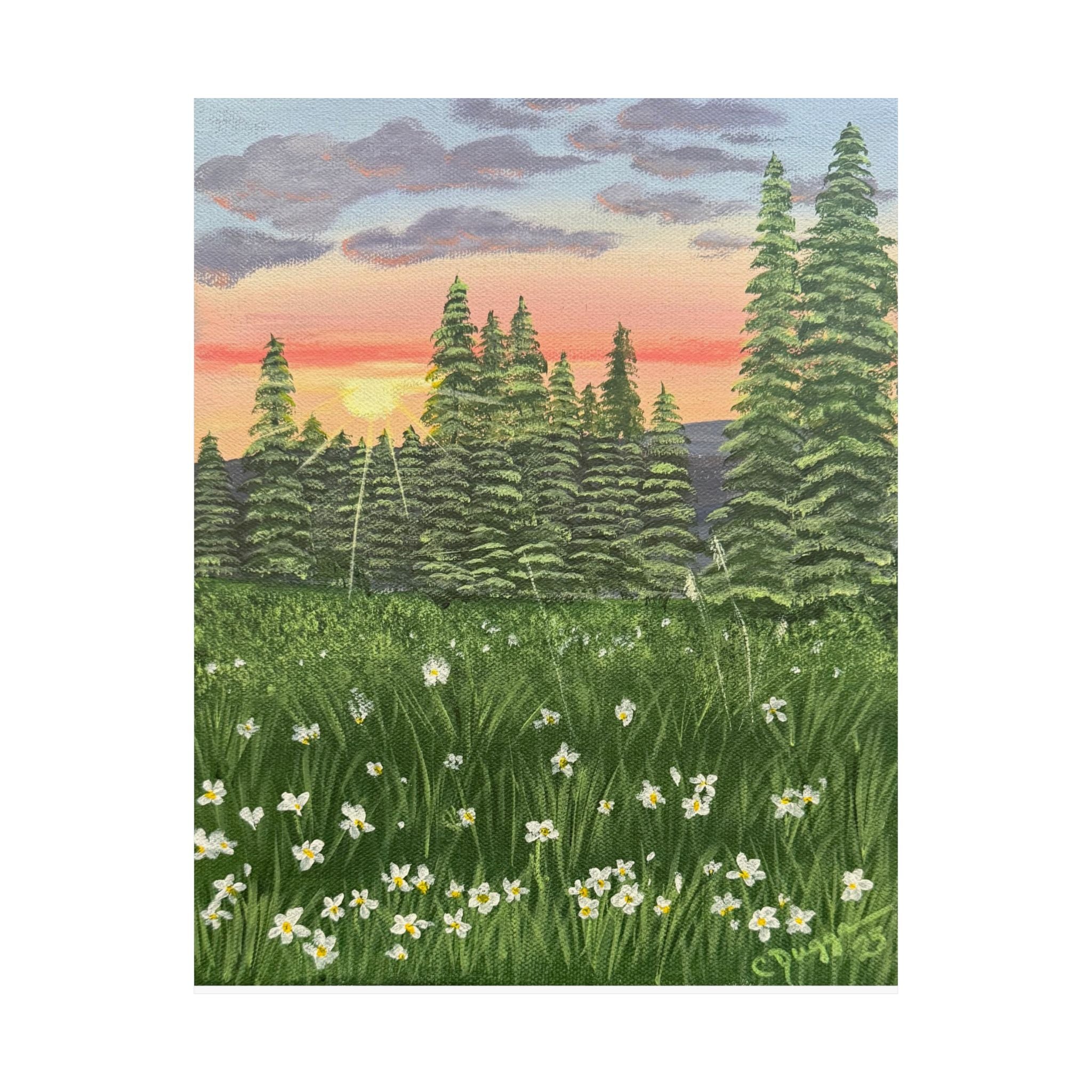 Meadow at First Light