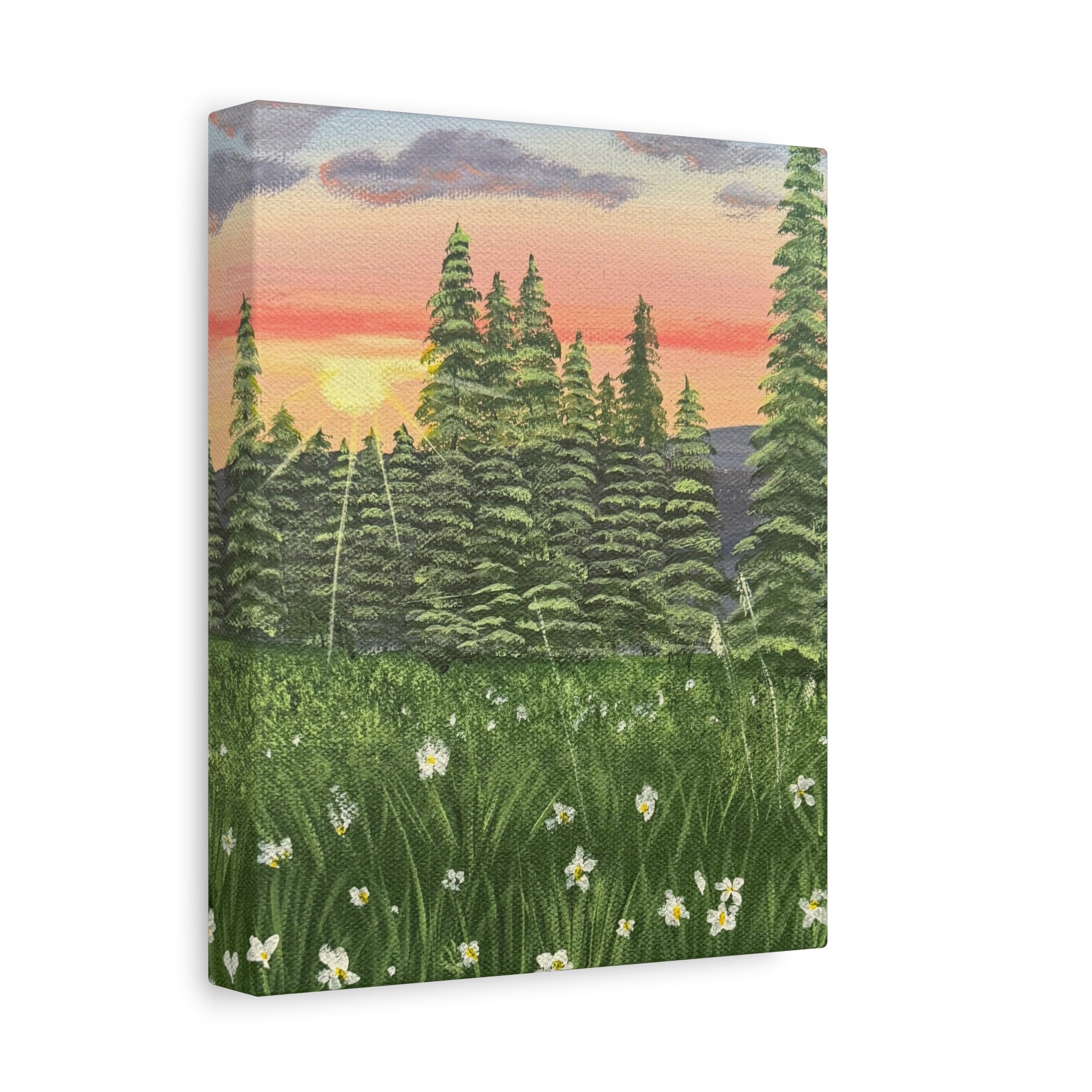 Meadow at First Light