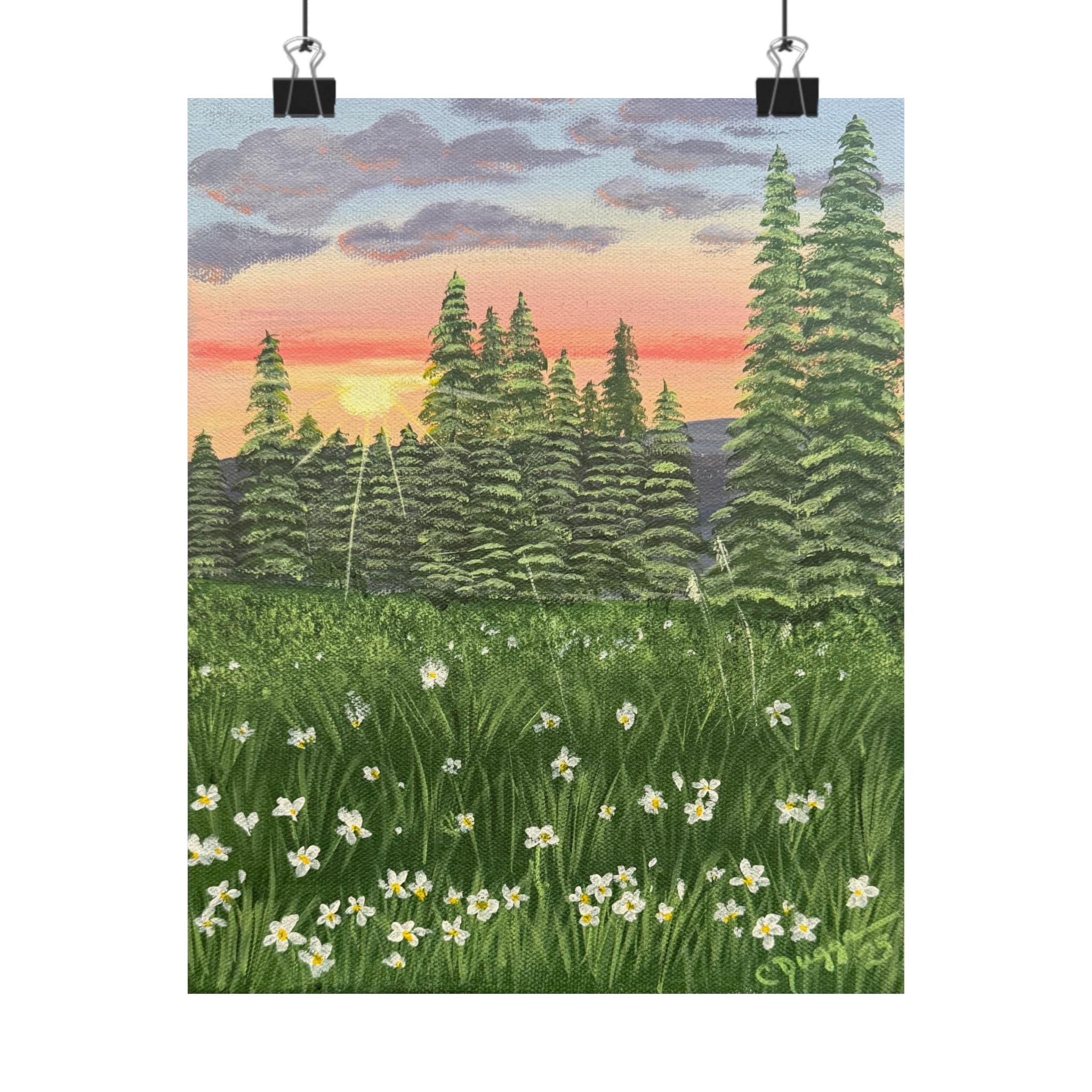 Meadow at First Light
