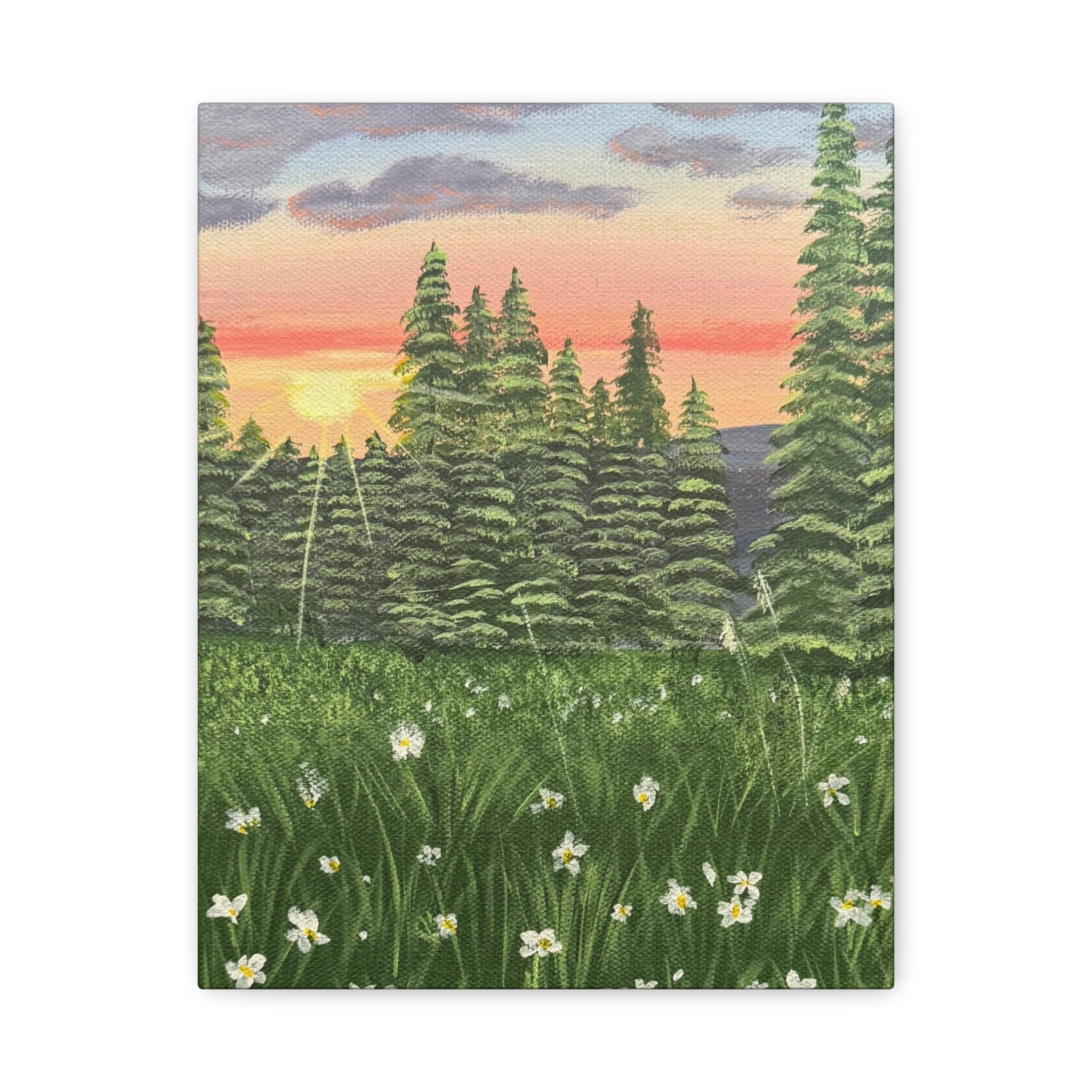 Meadow at First Light