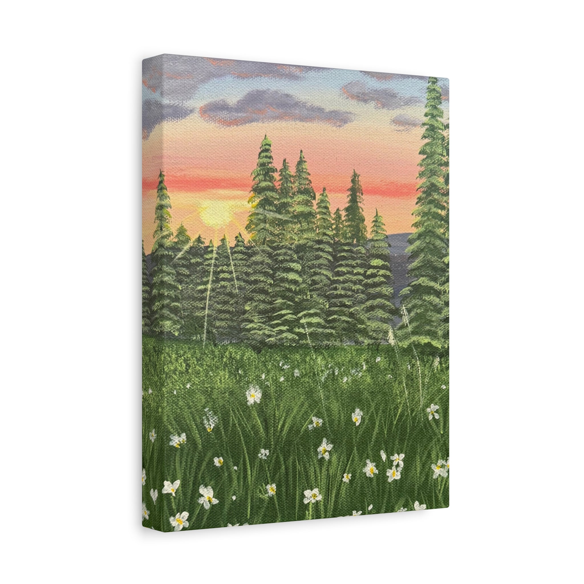 Meadow at First Light