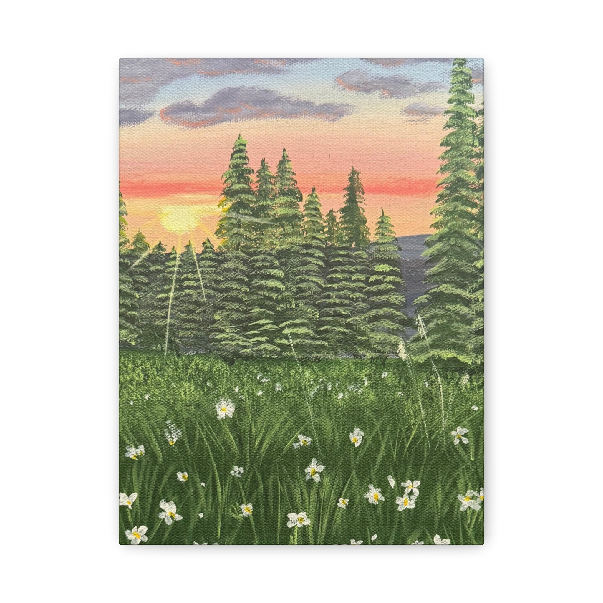 Meadow at First Light