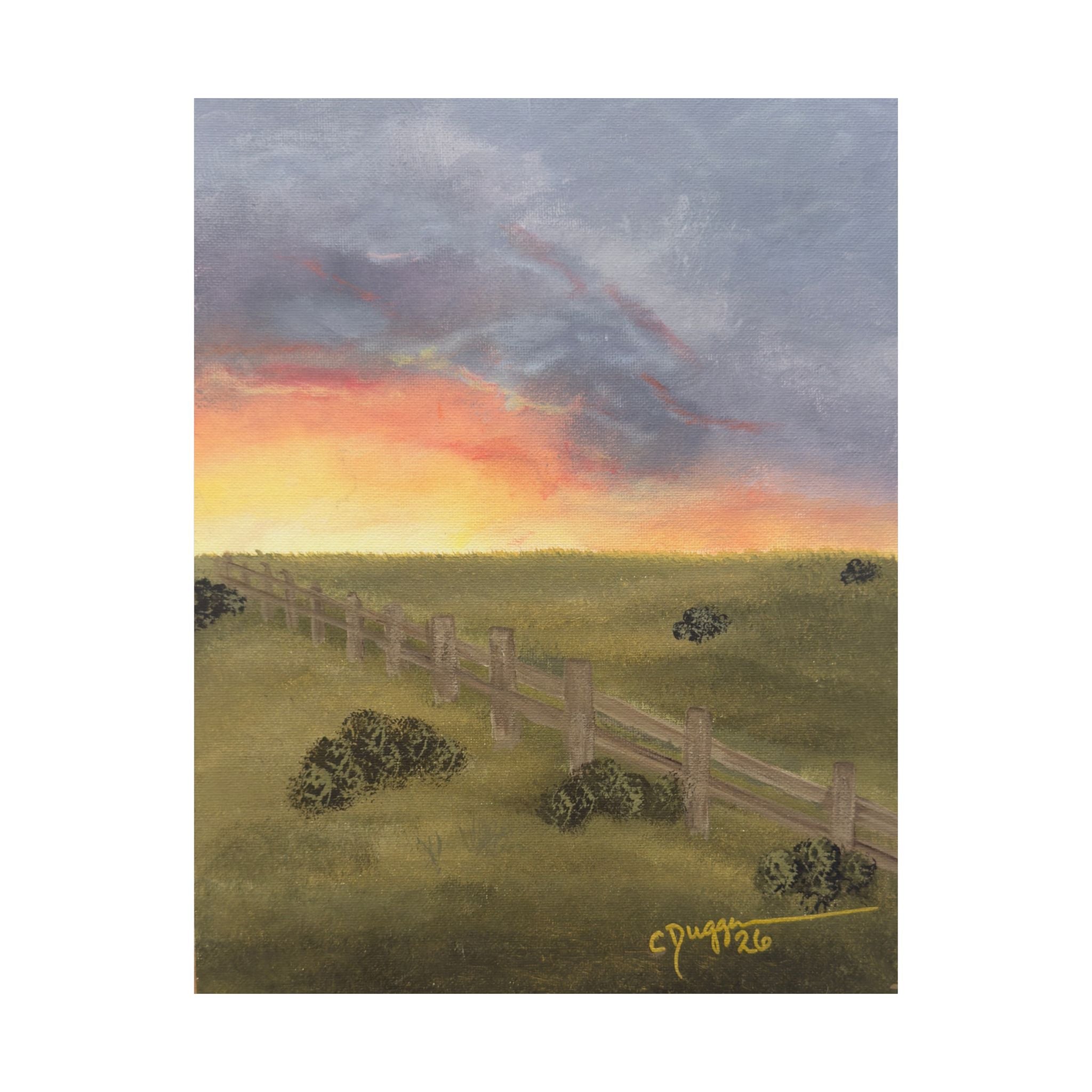 Summer Storm by Christine Duggan
