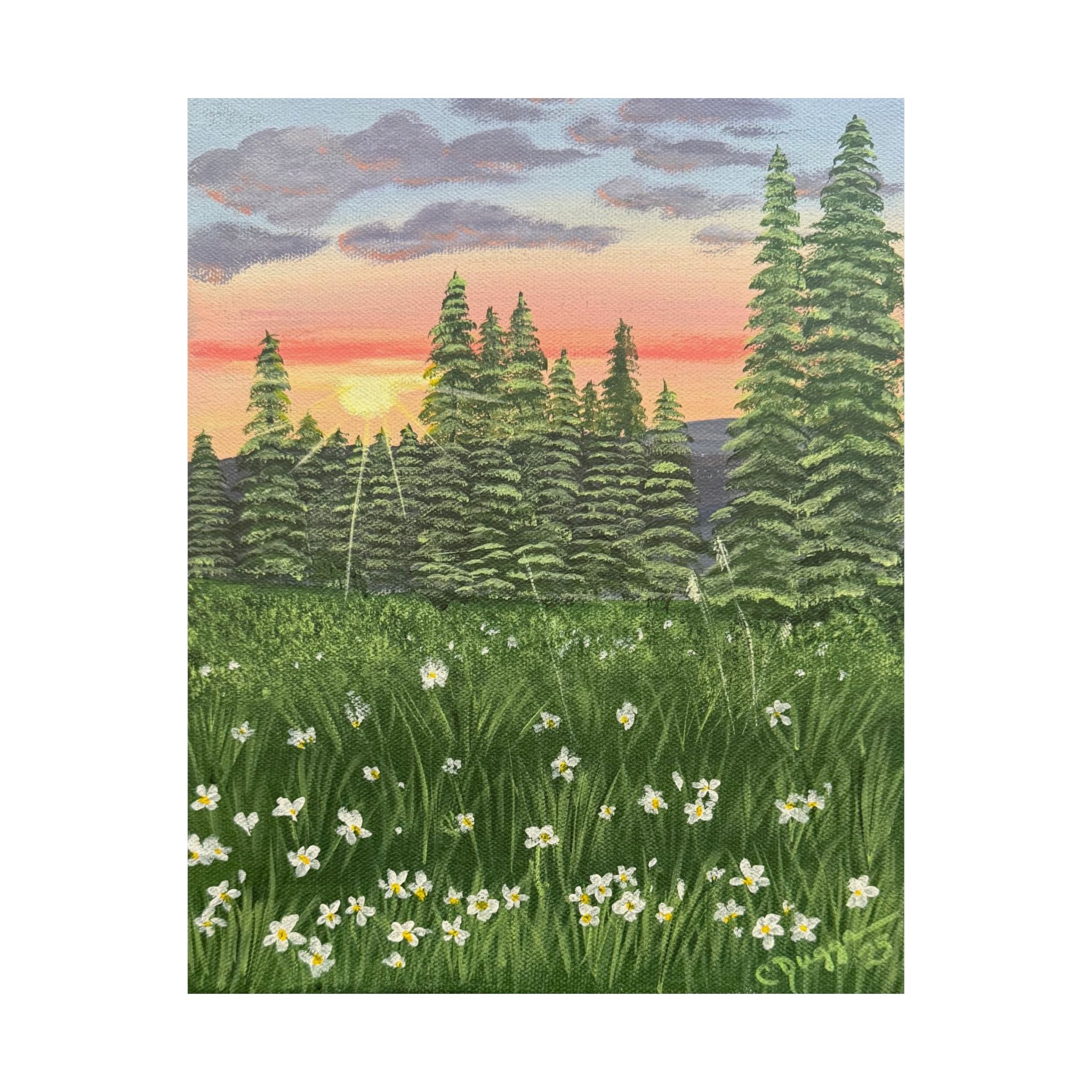 Meadow at First Light