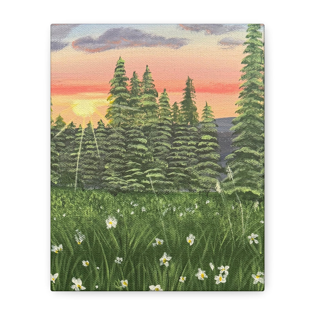 Meadow at First Light