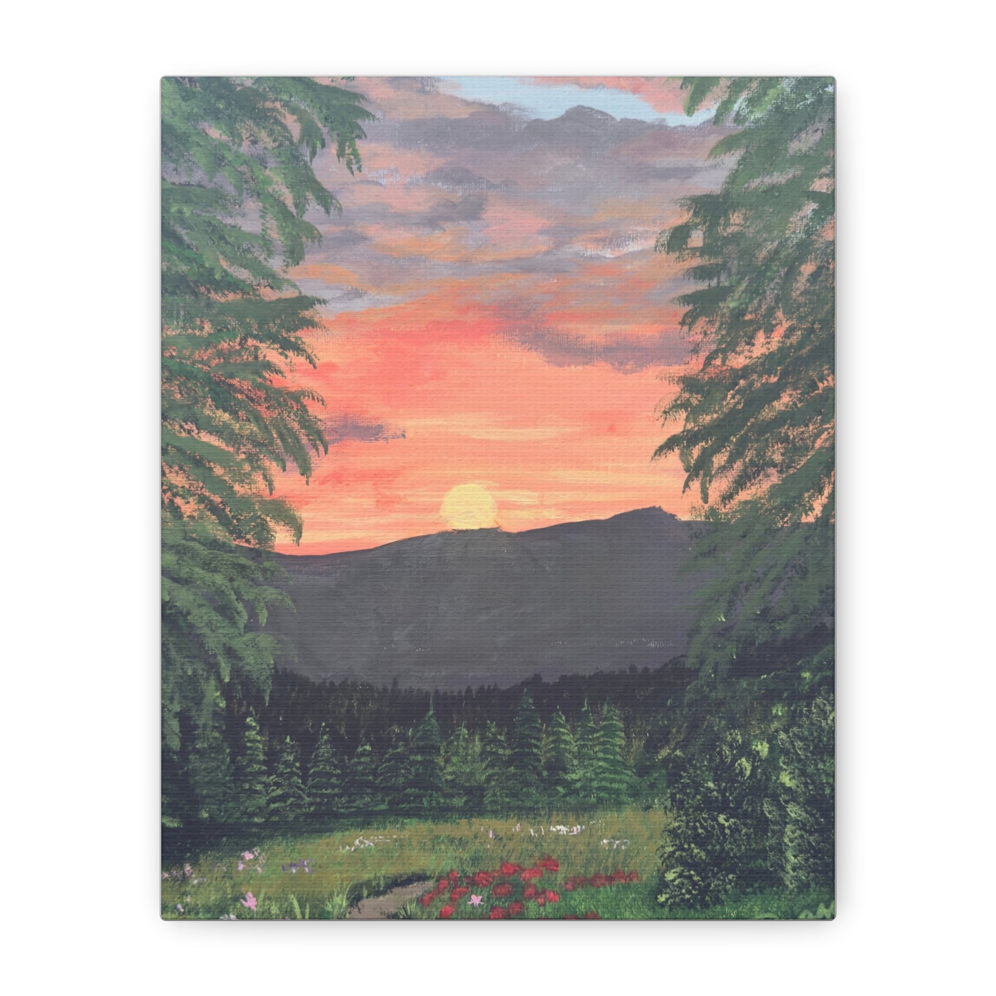 Through the Pines