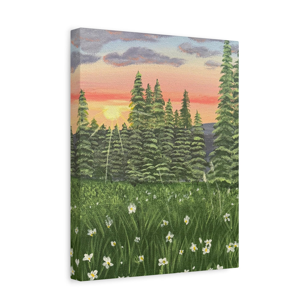 Meadow at First Light