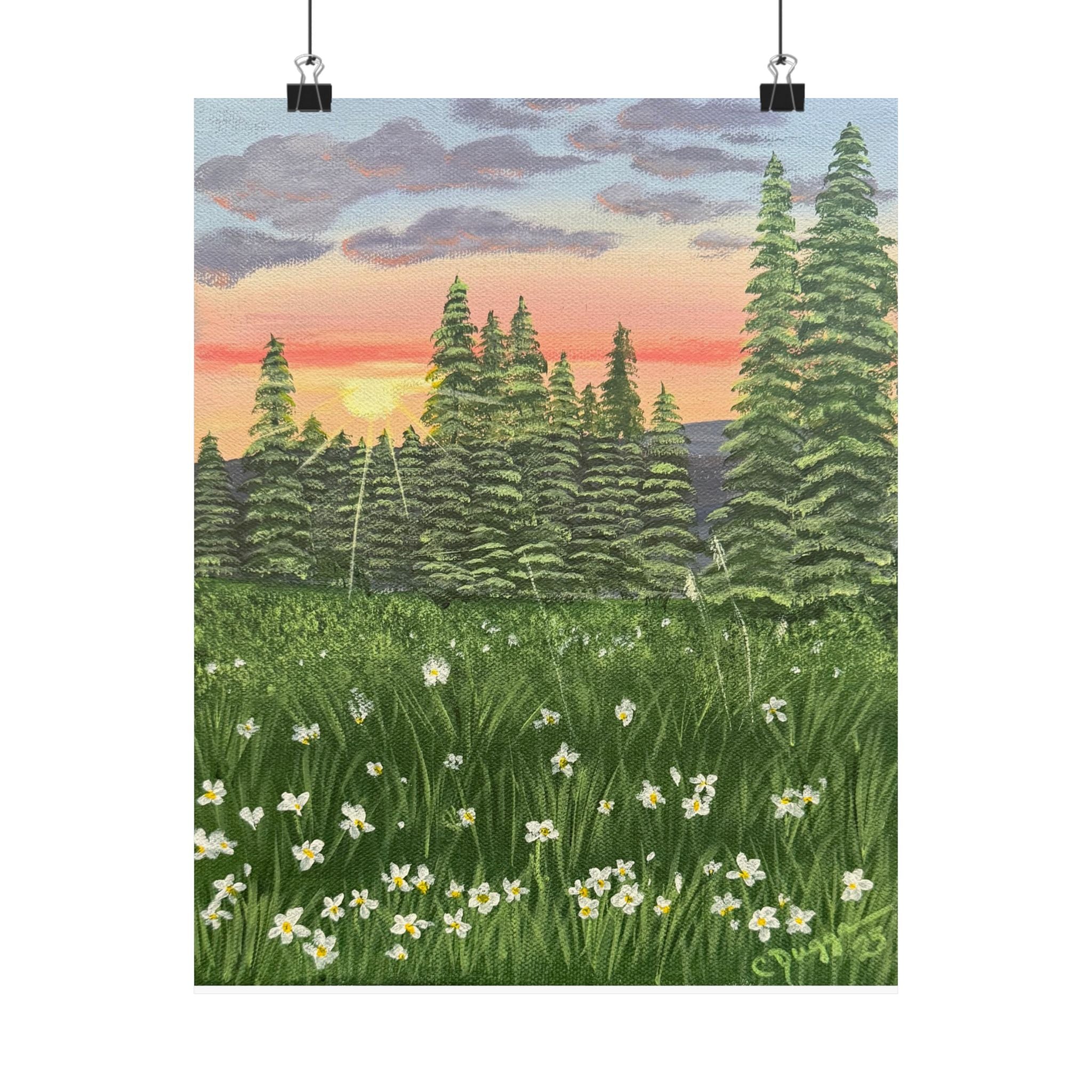 Meadow at First Light